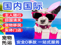 成都航空托运国际宠物托运 【国